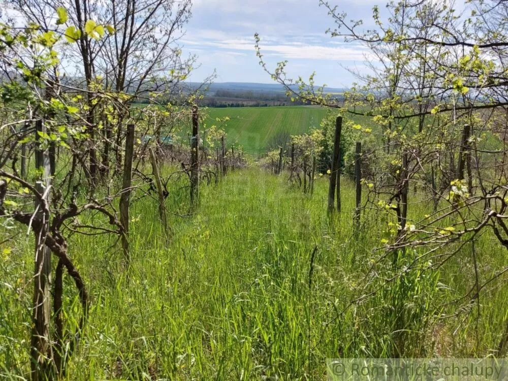 Záhrada na predaj 3281m2, Nová Vieska, 103213_24