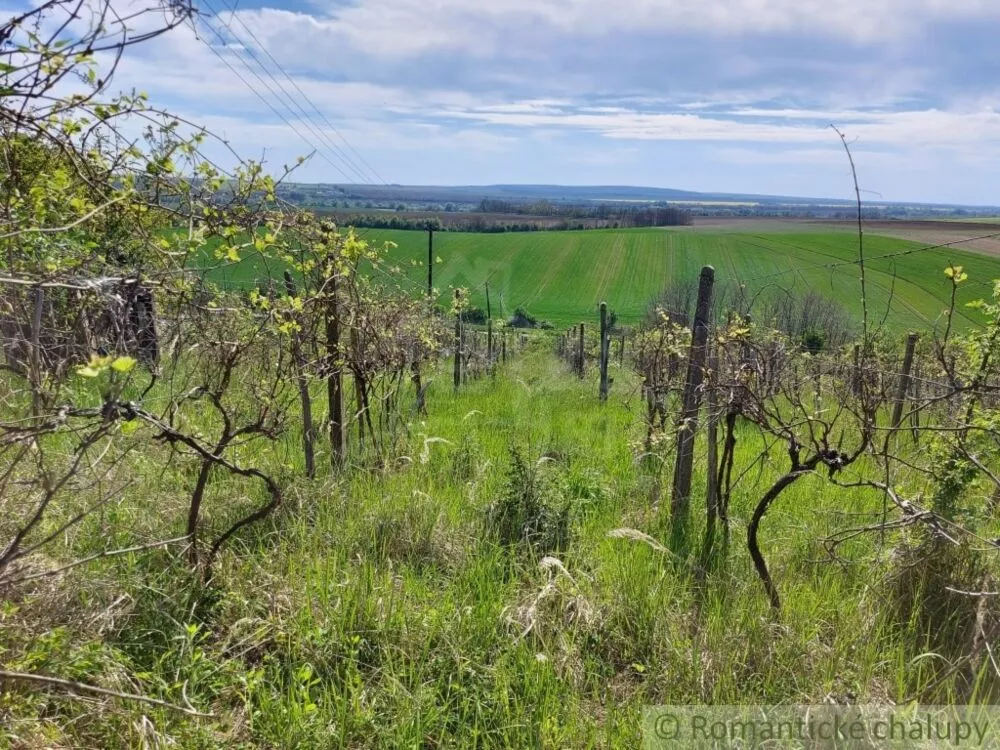 Záhrada na predaj 3281m2, Nová Vieska, 103213_25