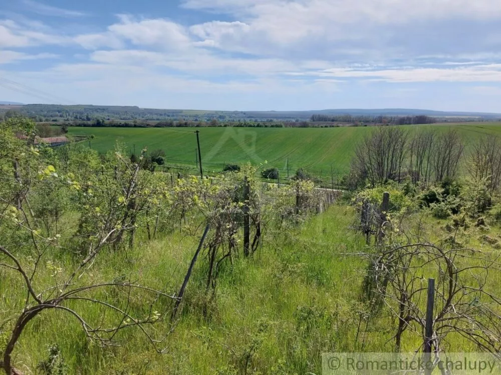 Záhrada na predaj 3281m2, Nová Vieska, 103213_27