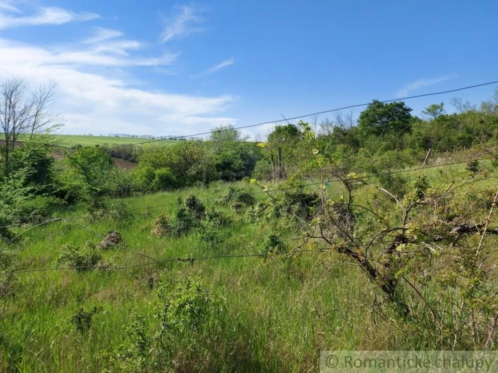 Záhrada na predaj 3281m2, Nová Vieska, 103213_29