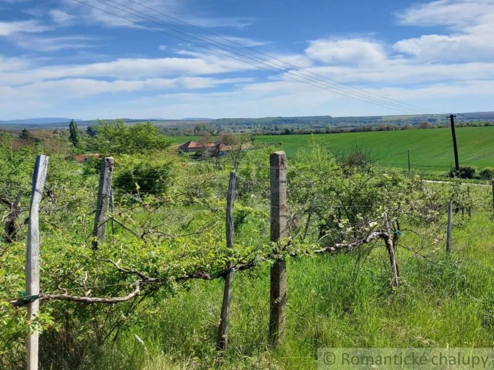 Záhrada na predaj 3281m2, Nová Vieska, 103213_30