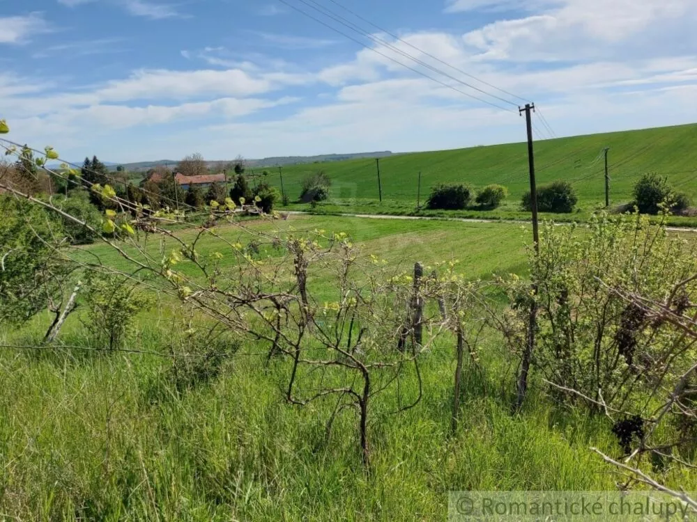 Záhrada na predaj 3281m2, Nová Vieska, 103213_31