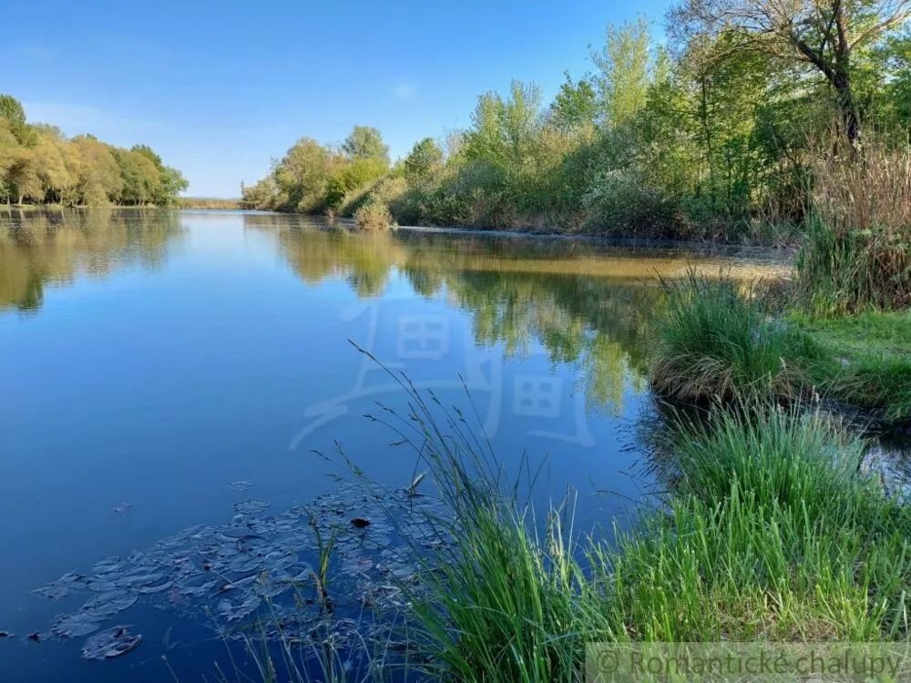 Záhrada na predaj 3281m2, Nová Vieska, 103213_37