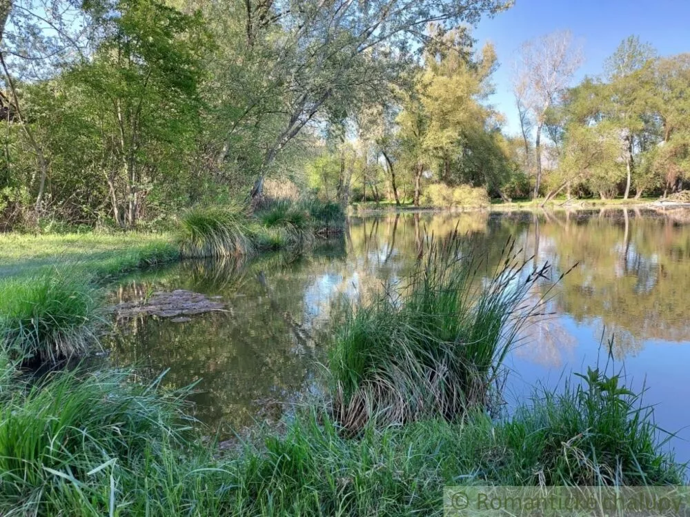 Záhrada na predaj 3281m2, Nová Vieska, 103213_38