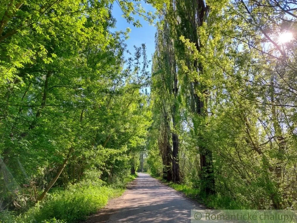 Záhrada na predaj 3281m2, Nová Vieska, 103213_39