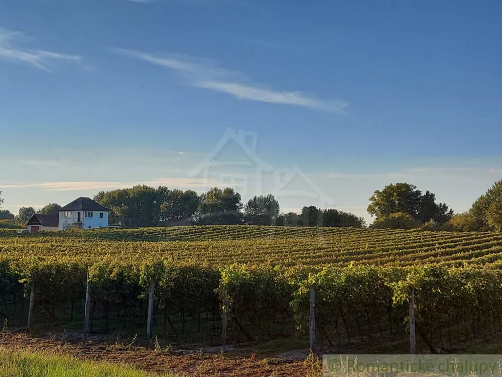 Záhrada na predaj 3281m2, Nová Vieska, 103213_45