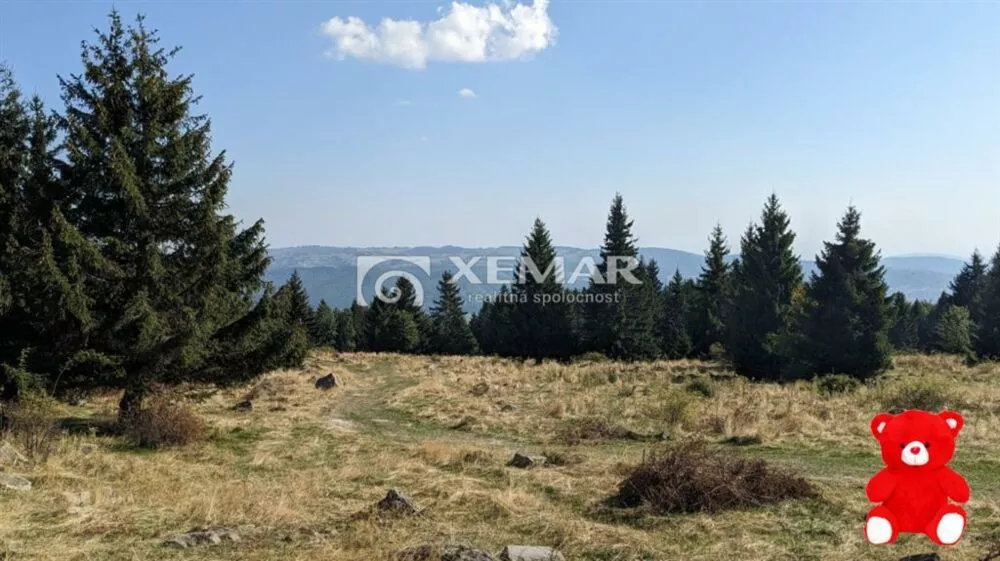 Lúka, pasienok na predaj 15465m2, Hriňová, 156861_0