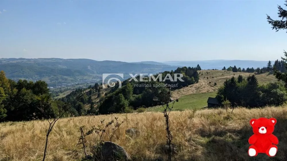 Lúka, pasienok na predaj 15465m2, Hriňová, 156861_2