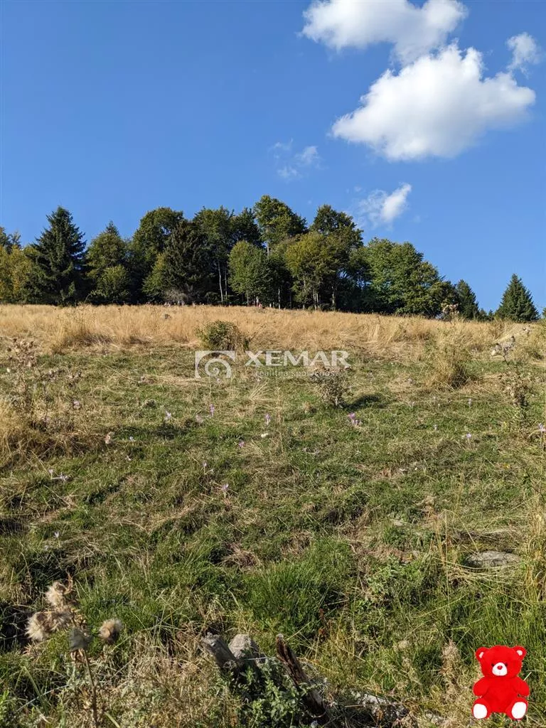 Lúka, pasienok na predaj 15465m2, Hriňová, 156861_3