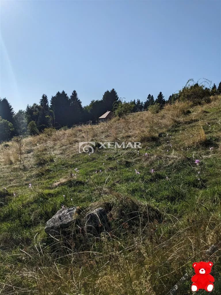 Lúka, pasienok na predaj 15465m2, Hriňová, 156861_4