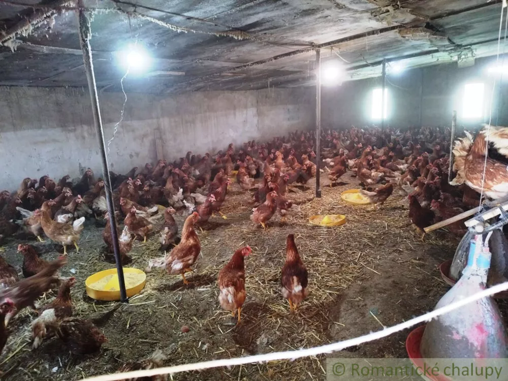 Vidiecky dom na predaj 61m2, Slovenské Ďarmoty, 137380_58