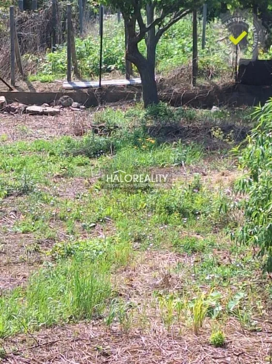 Pozemok pre rod. domy na predaj 1364m2, Dolné Orešany, 156950_1