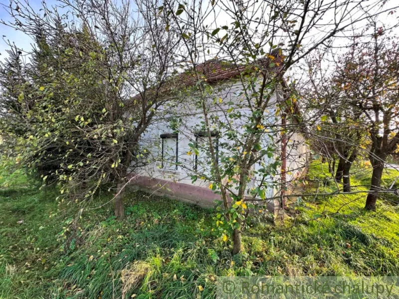 Vidiecky dom na predaj 200m2, Kolárovo, 132301_1