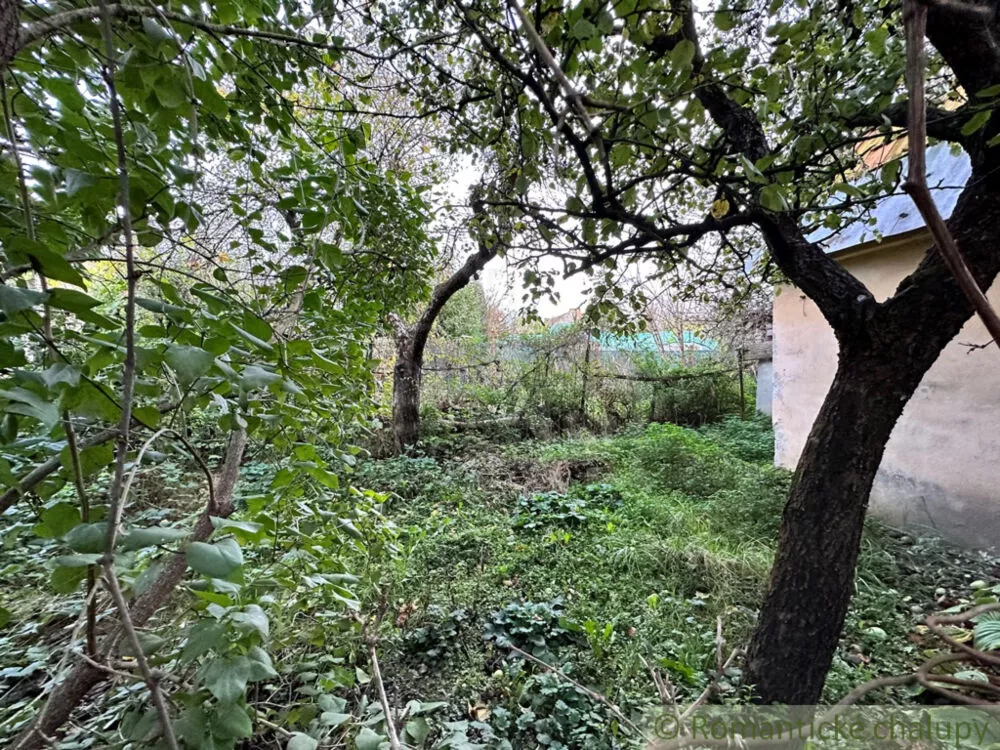 Vidiecky dom na predaj 200m2, Kolárovo, 132301_35