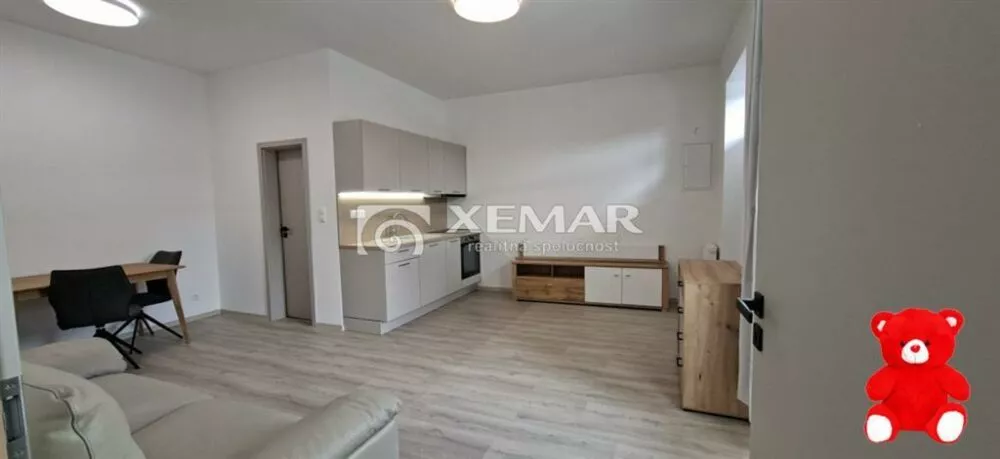 2 izbový byt na prenájom 40m2, Dolná, Banská Bystrica, 157169_8