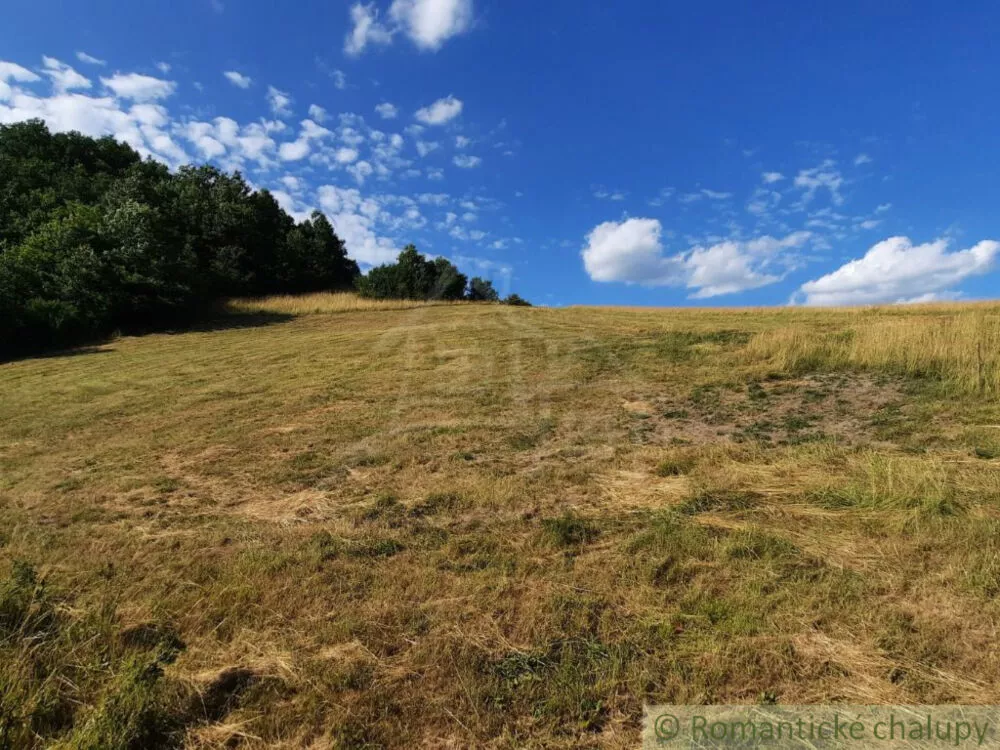 Lúka, pasienok na predaj 5854m2, Župkov, 155644_0