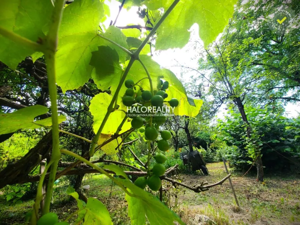 Záhradná chatka na predaj 1080m2, Žilina, 157243_2