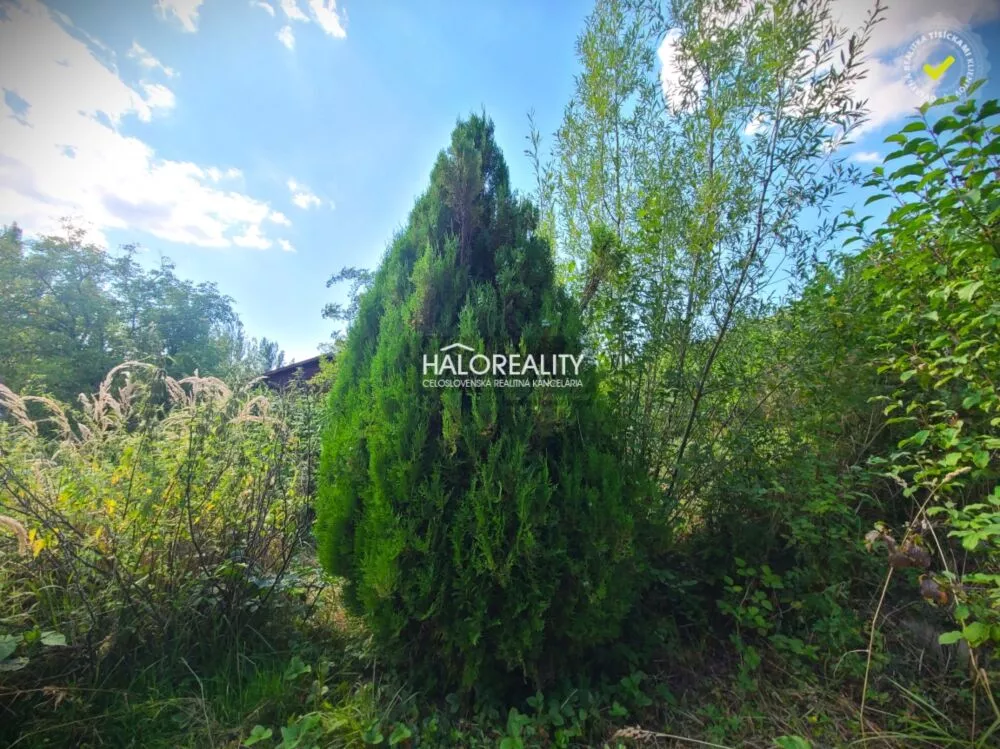 Záhradná chatka na predaj 1080m2, Žilina, 157243_6