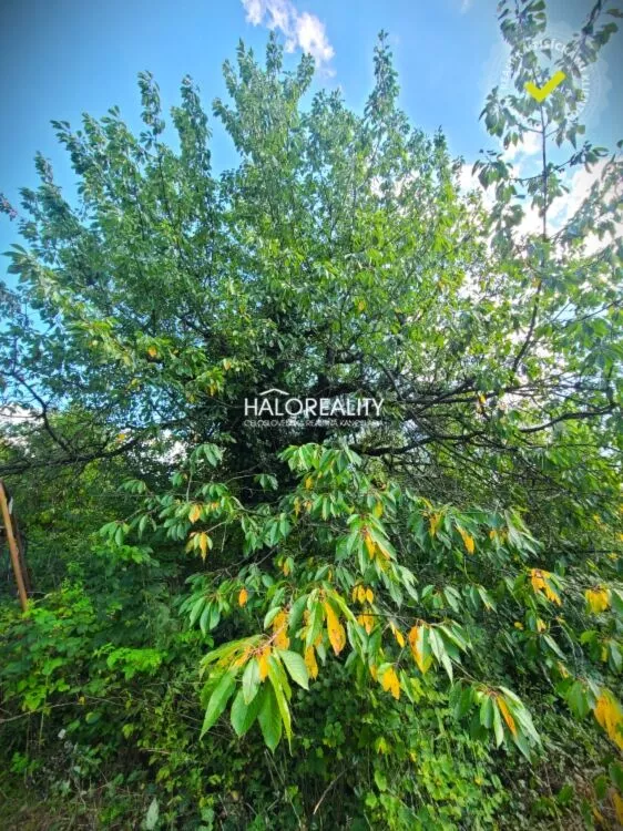 Záhradná chatka na predaj 1080m2, Žilina, 157243_8