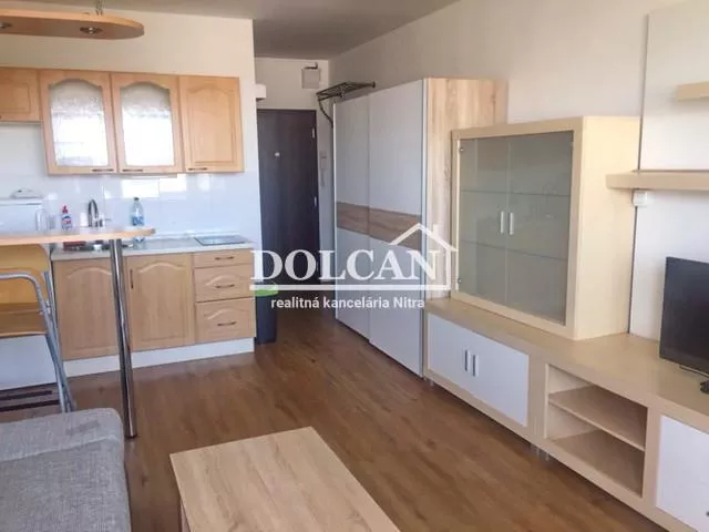 Garsonka na prenájom 24m2, Lesná, Nitra, 157438_0