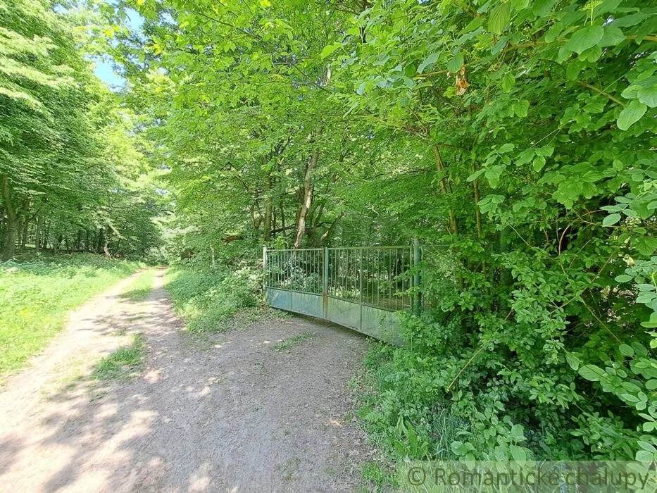 Rodinný dom na predaj 240m2, Jelenec, 148563_37