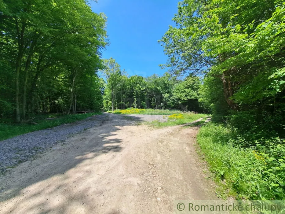 Rodinný dom na predaj 240m2, Jelenec, 148563_39