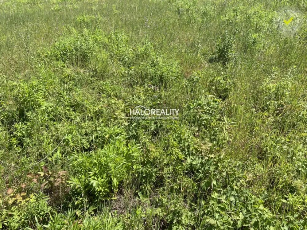 Pozemok pre rod. domy na predaj 496m2, Prešov, 157552_1