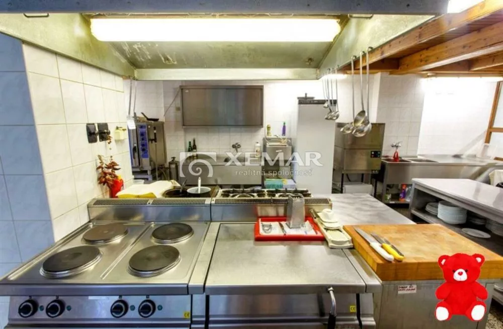 Iný objekt na bývanie na predaj 1546m2, Tajov, 157655_10