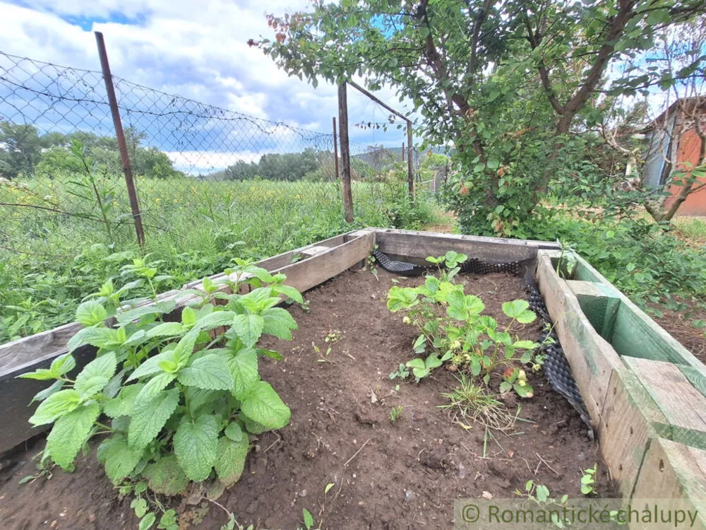 Chata a chalupa na predaj 20m2, Štúrovo, 155348_14