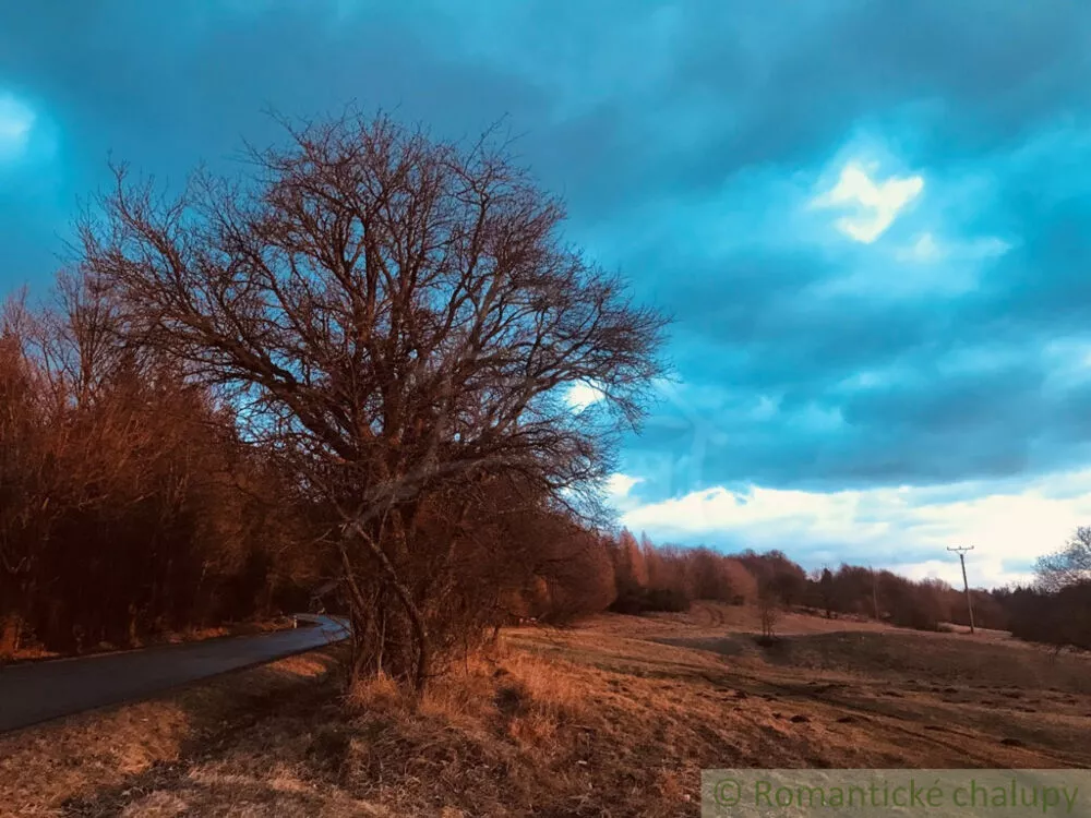 Rodinný dom na predaj 375m2, Žemberovce, 149912_18