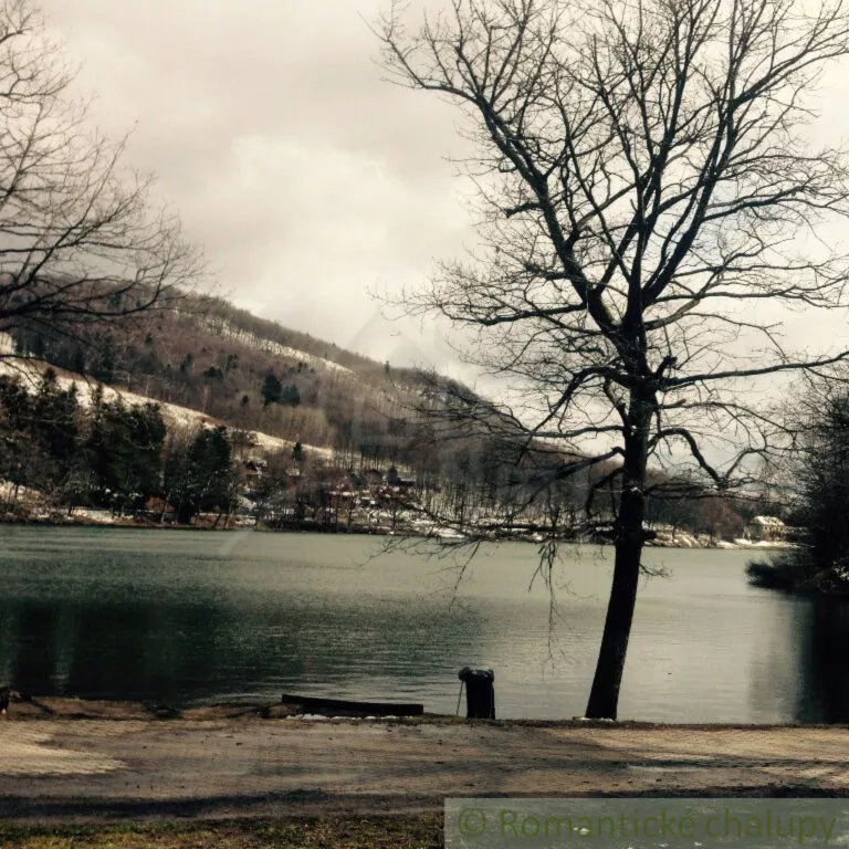 Rodinný dom na predaj 375m2, Žemberovce, 149912_19