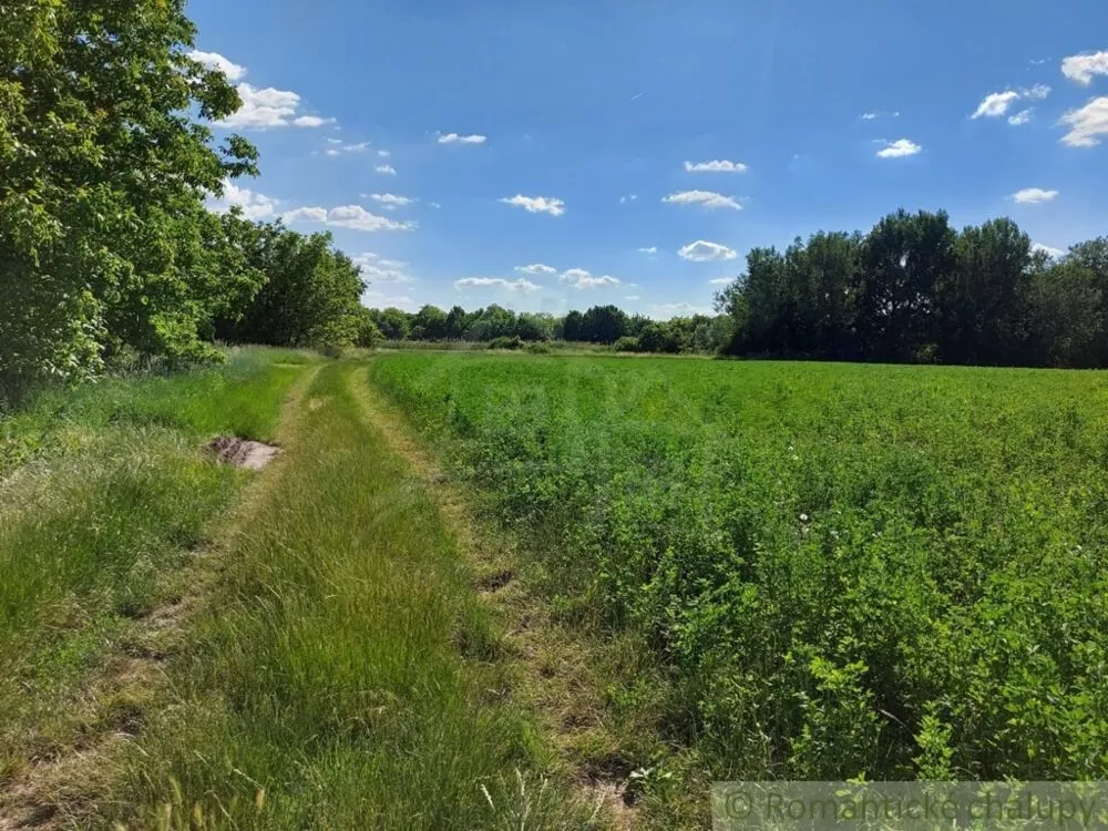 Vidiecky dom na predaj 100m2, Bátorove Kosihy, 130045_31