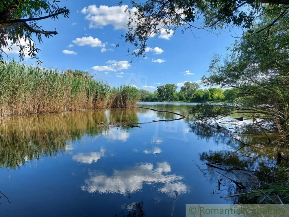Vidiecky dom na predaj 100m2, Bátorove Kosihy, 130045_32