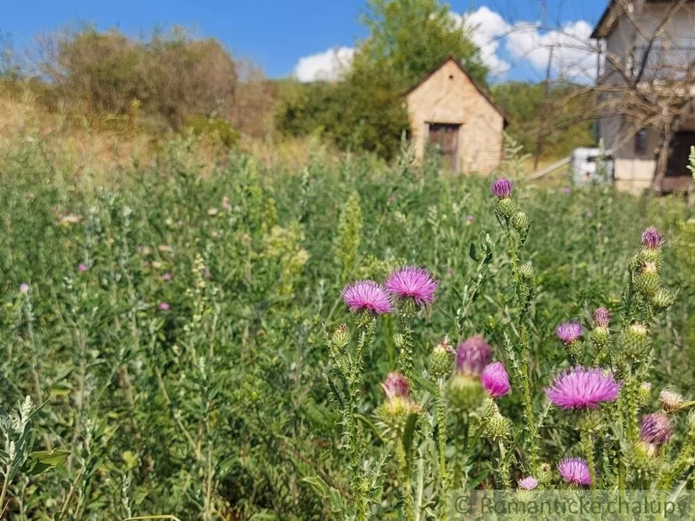 Chata a chalupa na predaj 16m2, Modrany, 116614_13