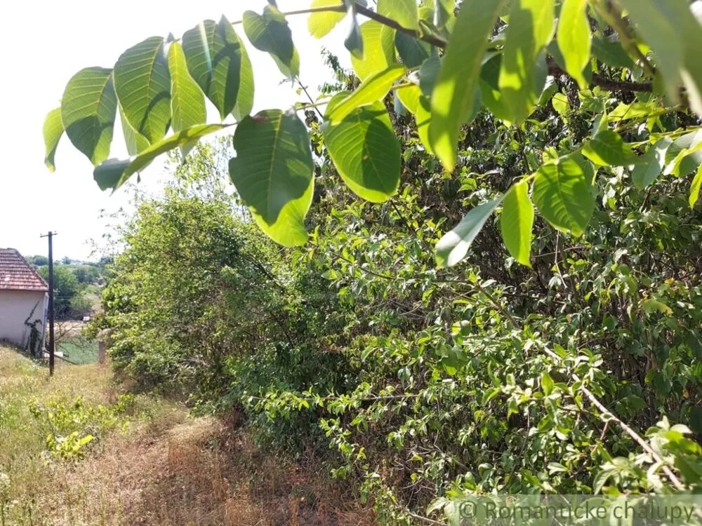 Chata a chalupa na predaj 16m2, Modrany, 116614_28