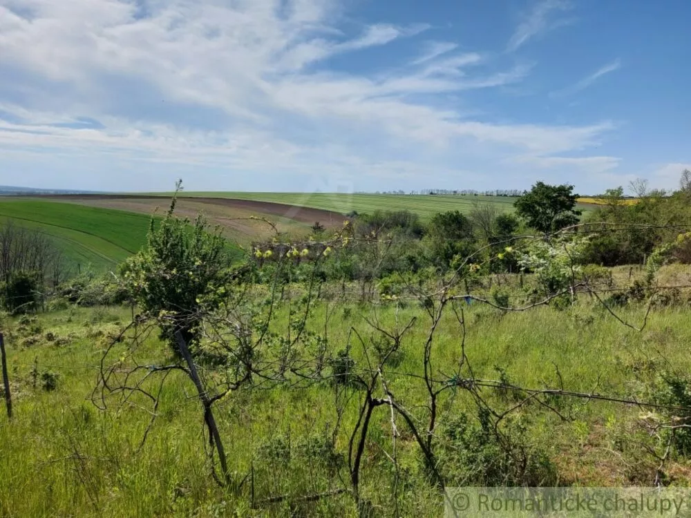 Záhrada na predaj 1604m2, Nová Vieska, 103207_15