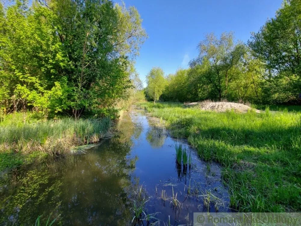 Záhrada na predaj 1604m2, Nová Vieska, 103207_23