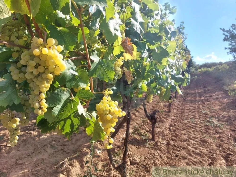 Chata a chalupa na predaj 45m2, Modrany, 117173_33