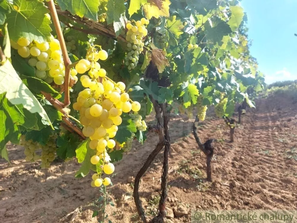 Chata a chalupa na predaj 45m2, Modrany, 117173_34