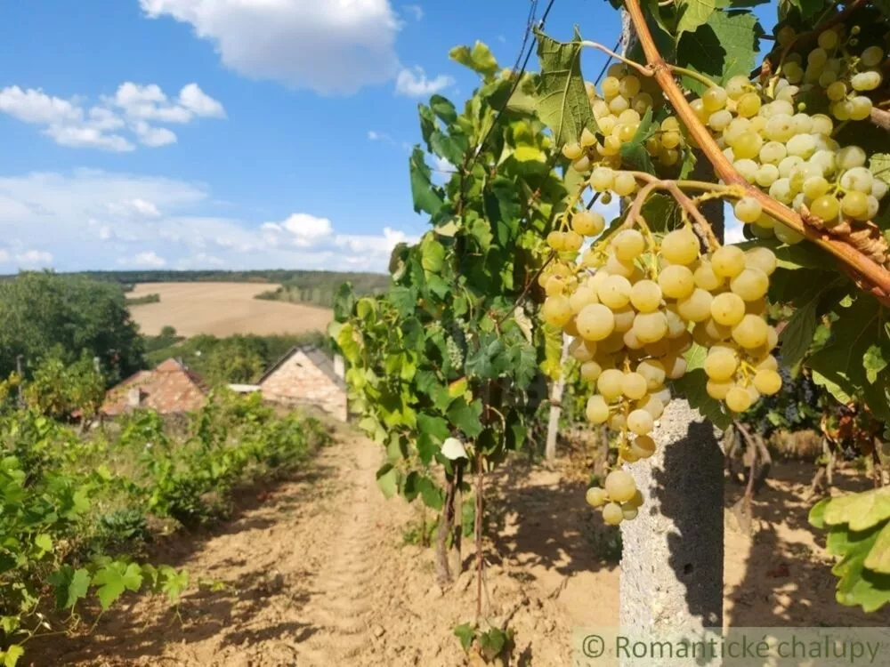 Chata a chalupa na predaj 45m2, Modrany, 117173_37