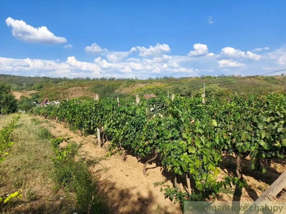 Chata a chalupa na predaj 45m2, Modrany, 117173_39