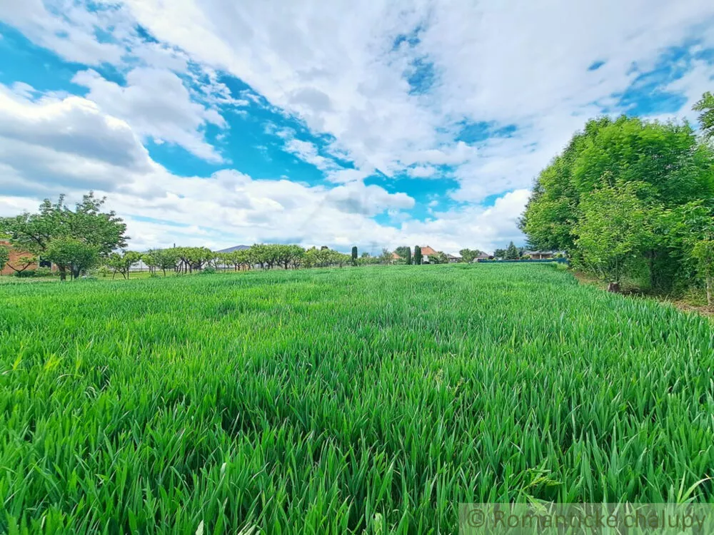 Rodinný dom na predaj 180m2, Šurianky, 154110_12