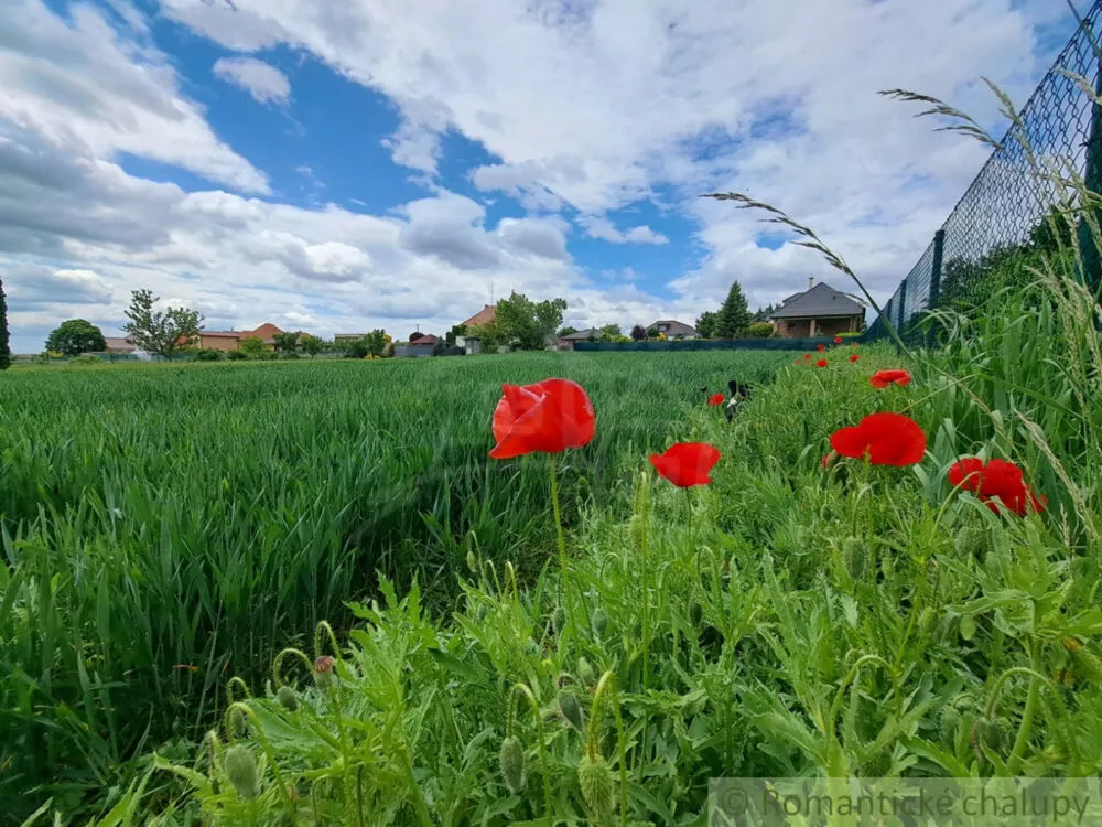 Rodinný dom na predaj 180m2, Šurianky, 154110_16