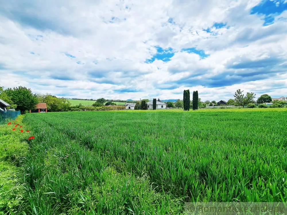 Rodinný dom na predaj 180m2, Šurianky, 154110_18