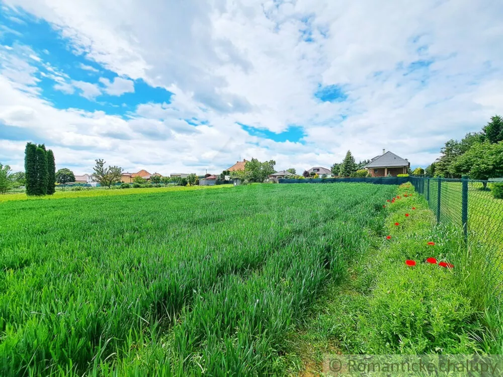 Rodinný dom na predaj 180m2, Šurianky, 154110_21