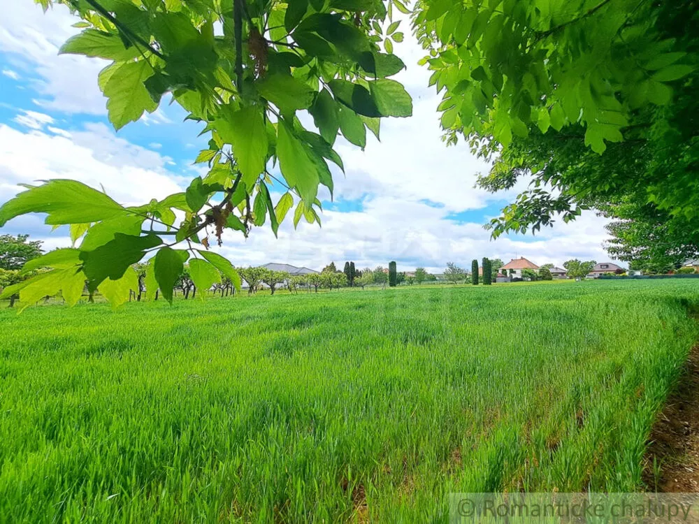 Rodinný dom na predaj 180m2, Šurianky, 154110_22