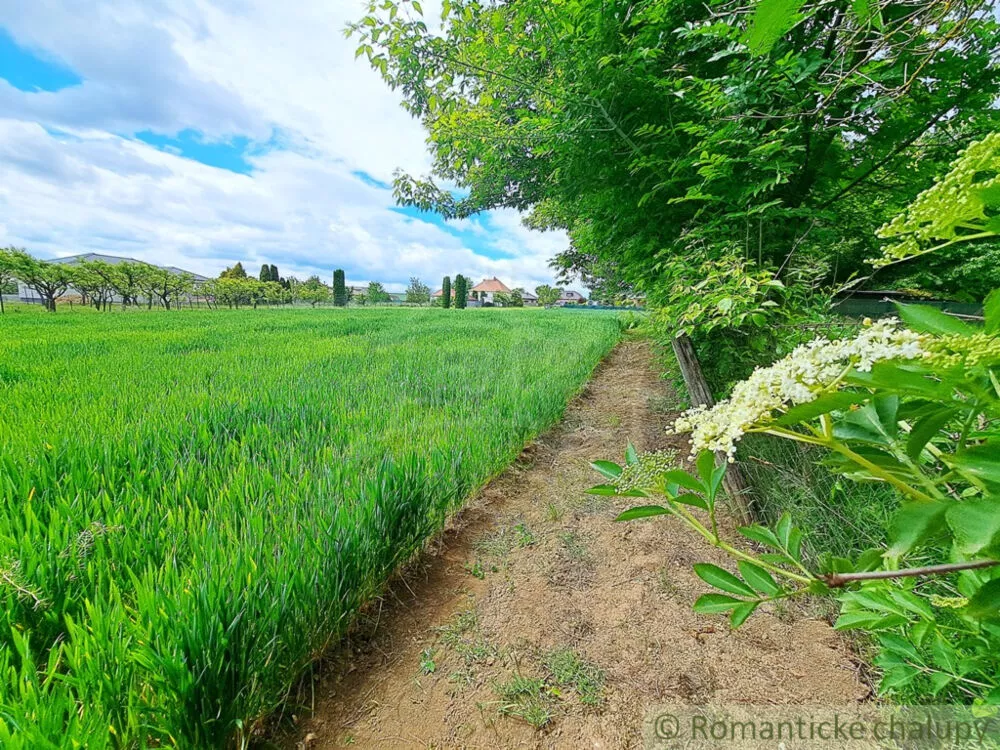 Rodinný dom na predaj 180m2, Šurianky, 154110_23