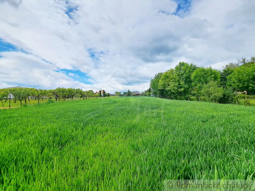 Rodinný dom na predaj 180m2, Šurianky, 154110_25