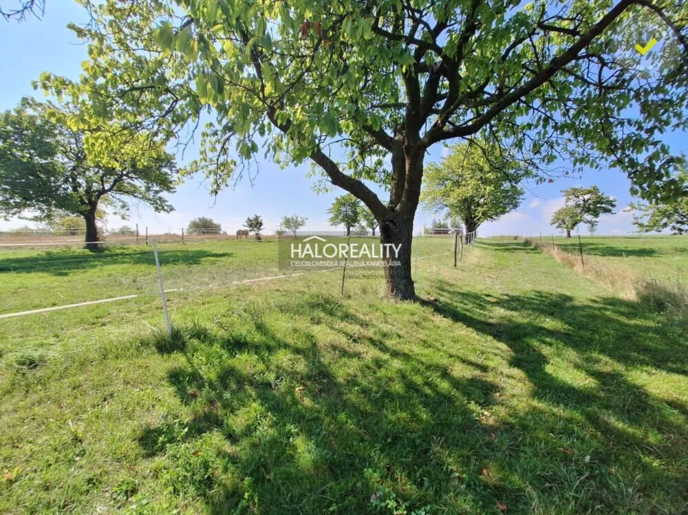 Rodinný dom na predaj 120m2, Borová, 158169_16