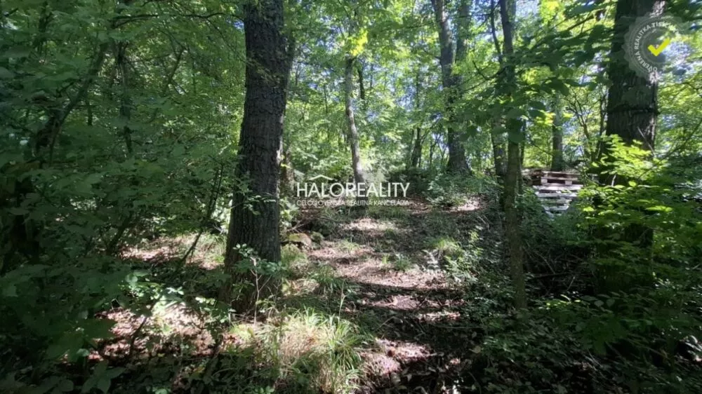 Chata a chalupa na predaj 38m2, Buková, 158284_9